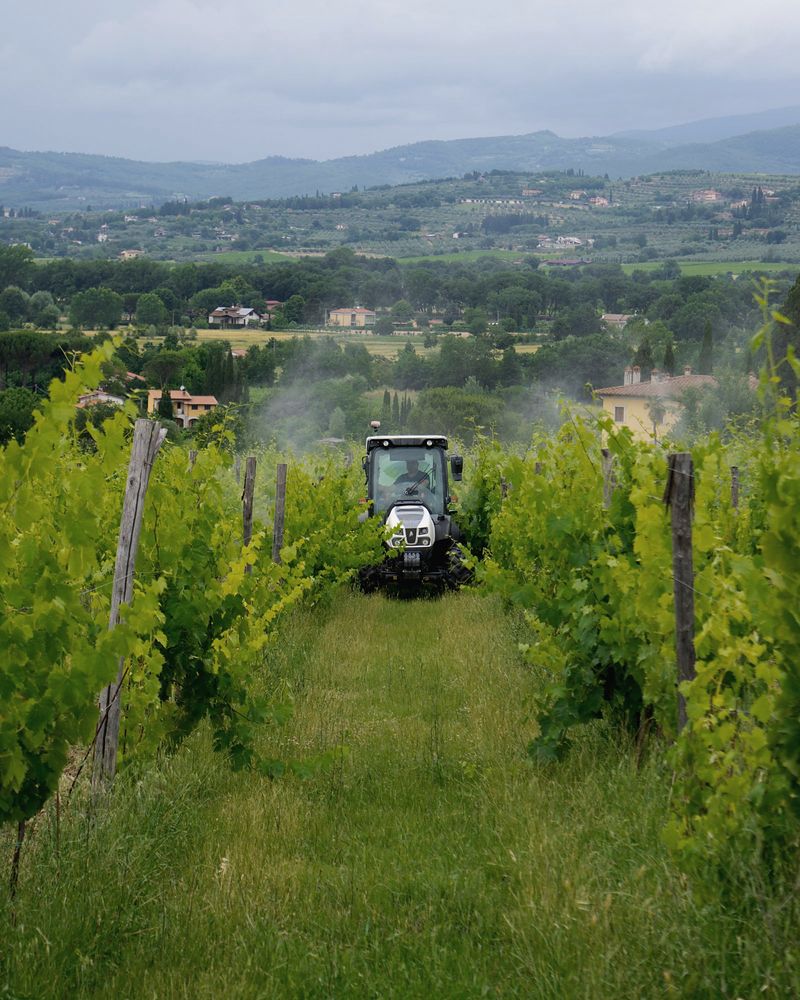 Tracteur vigneron traitant entre les rangs de vigne, collines à l’arrière-plan
